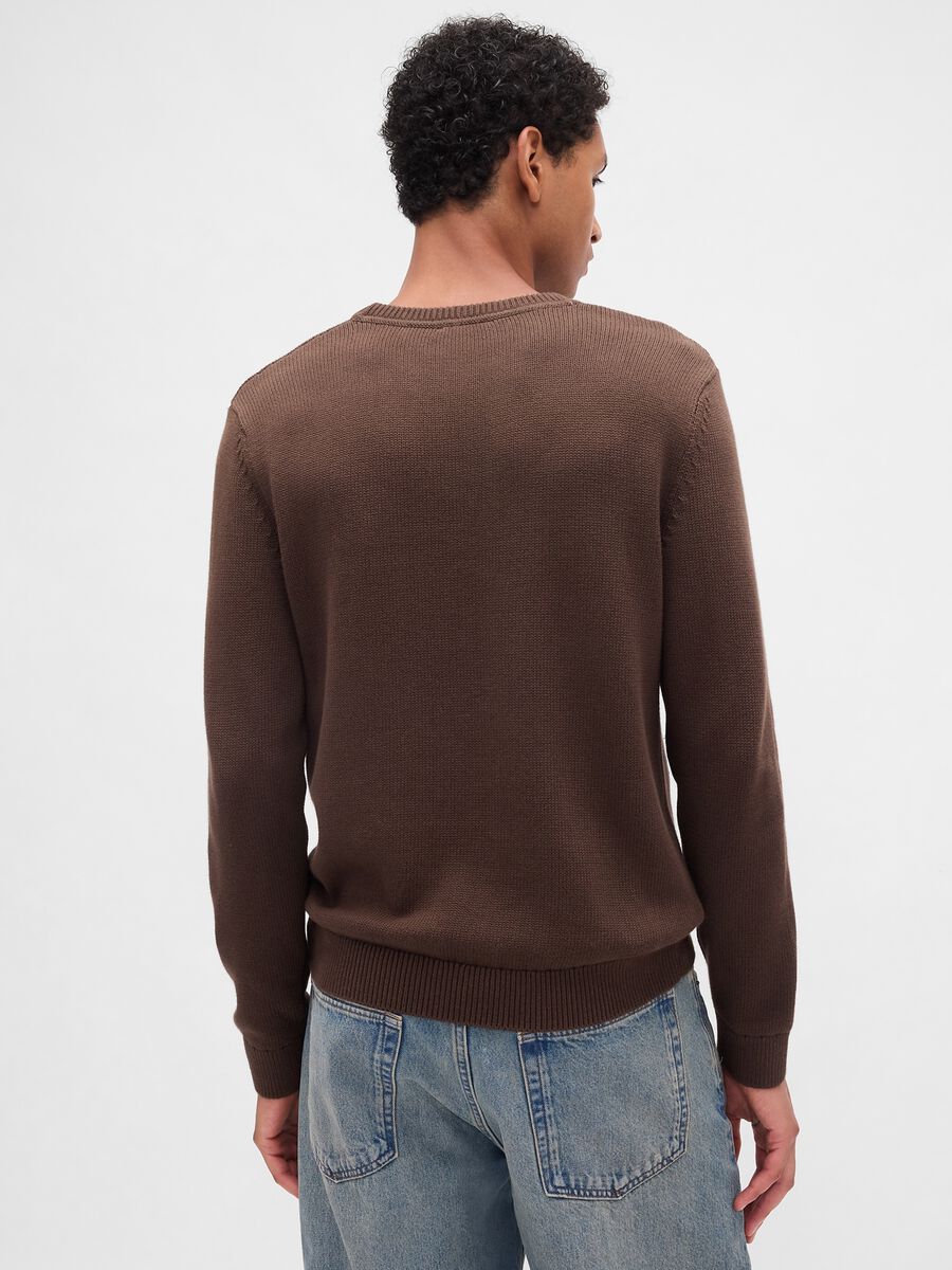 Brown Cotton Sweater_1