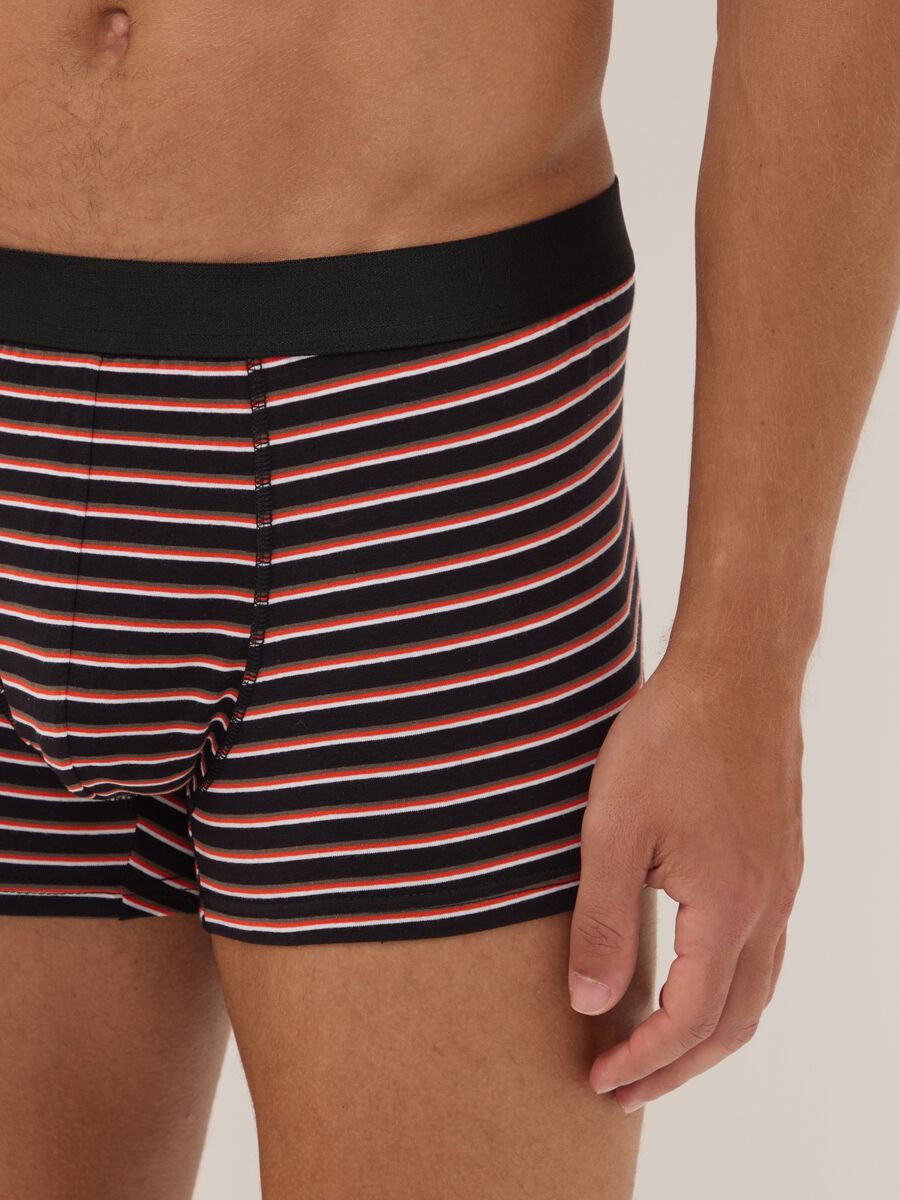 Multipack di cinque boxer multicolor in cotone organico a righe_3