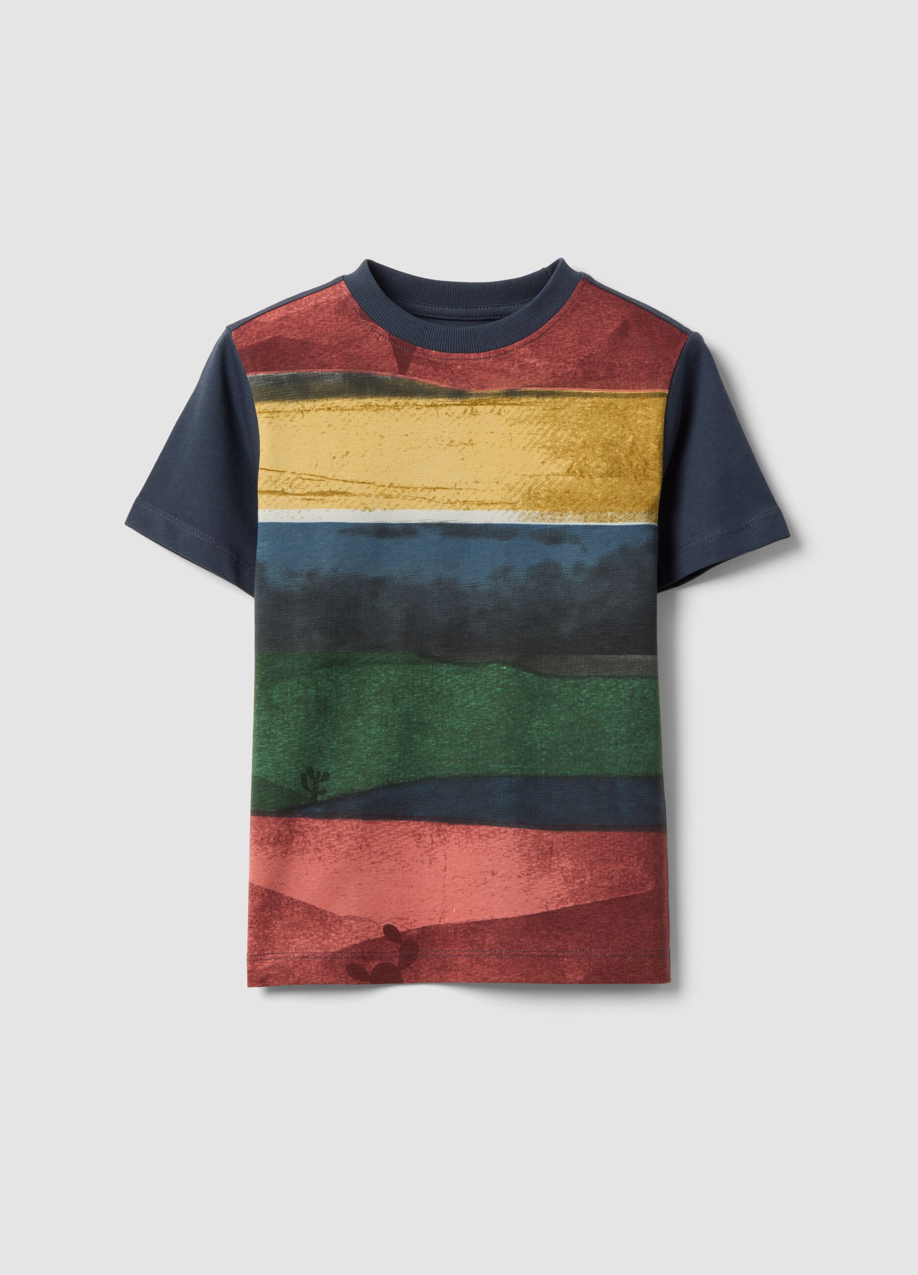 Multicolour striped pure cotton regular fit T-shirt for boys