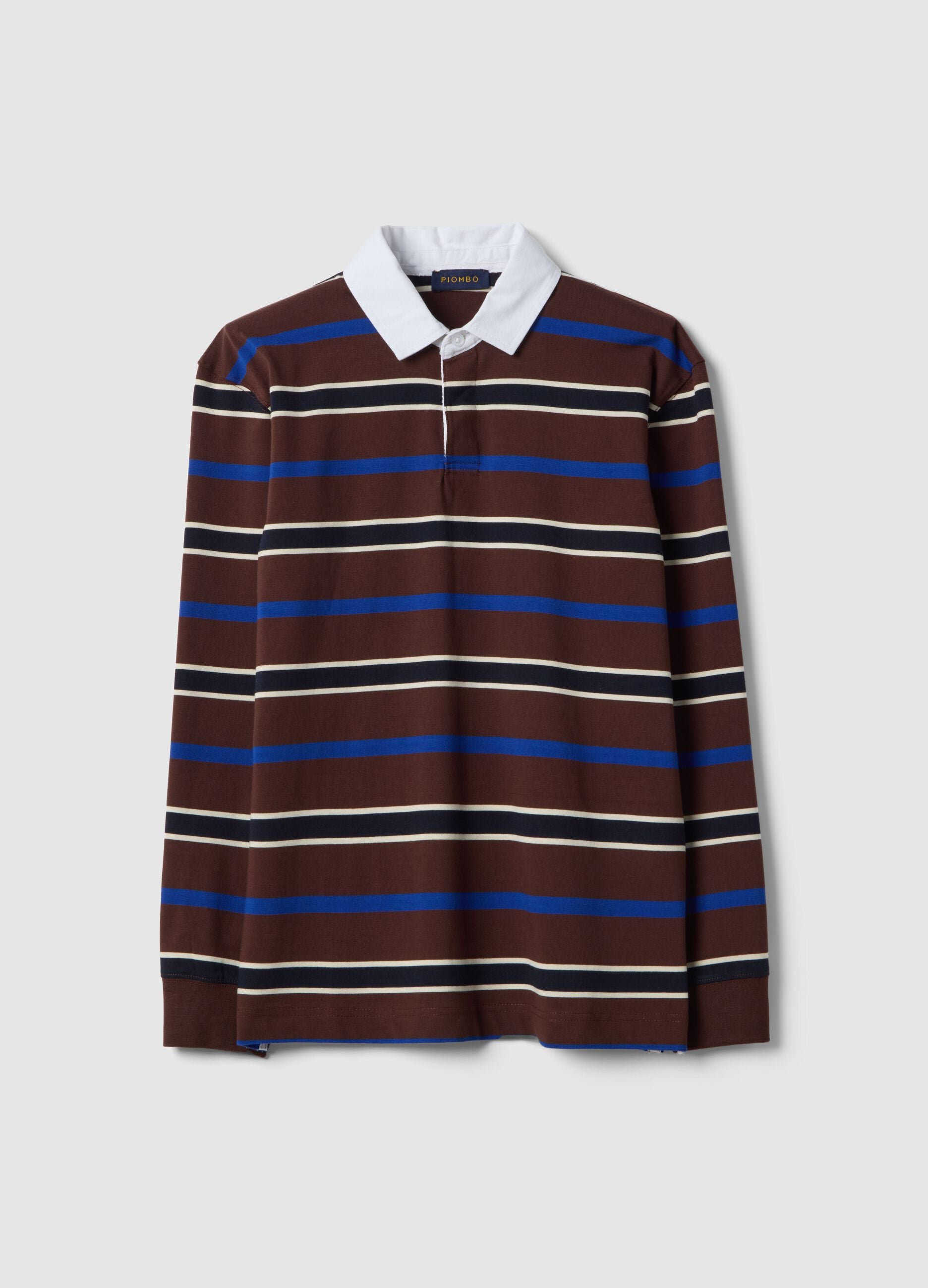 Multicolour striped long-sleeve polo in pure cotton, regular fit