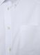 Oxford cotton shirt with button-down collar_5