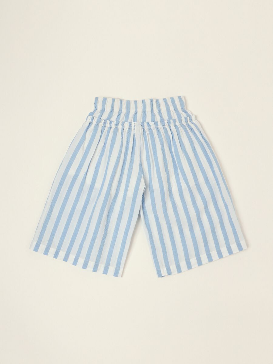 Sky Blue Pure Cotton Striped Trousers_2