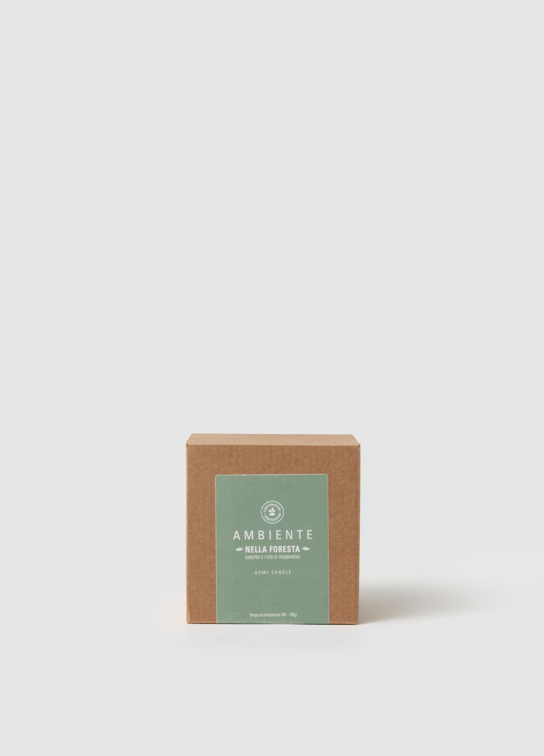 Ambient Candle "In the Forest"