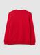 Round-neck sweatshirt with logo patch and embroidery_2