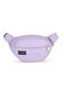 Fifth Avenue bum bag_0
