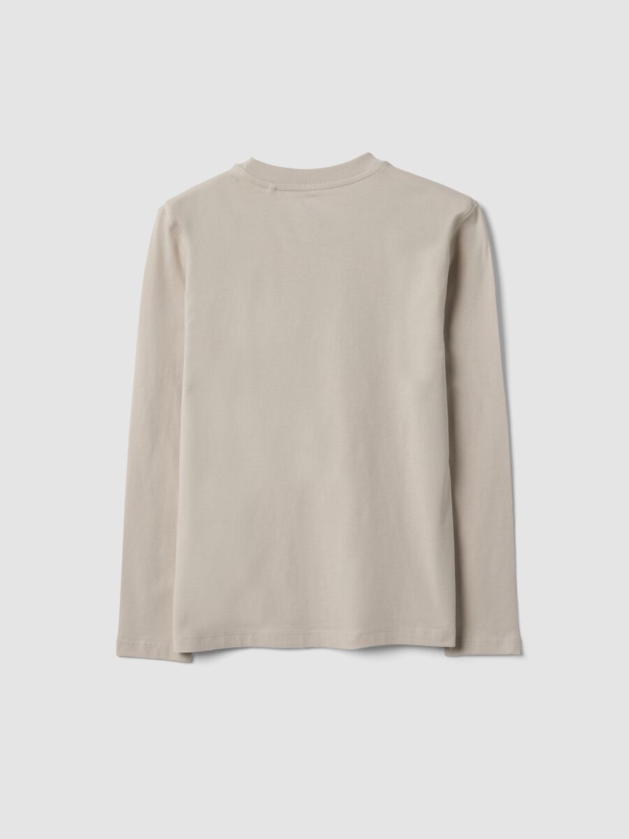 T-shirt grigia in puro cotone organico con stampa per ragazzo_2