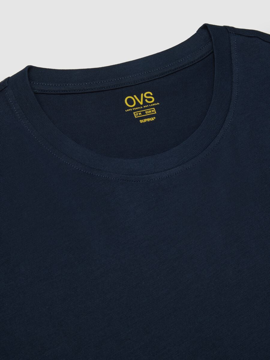 Regular Fit Round Neck Blue Pure Cotton T-shirt_5