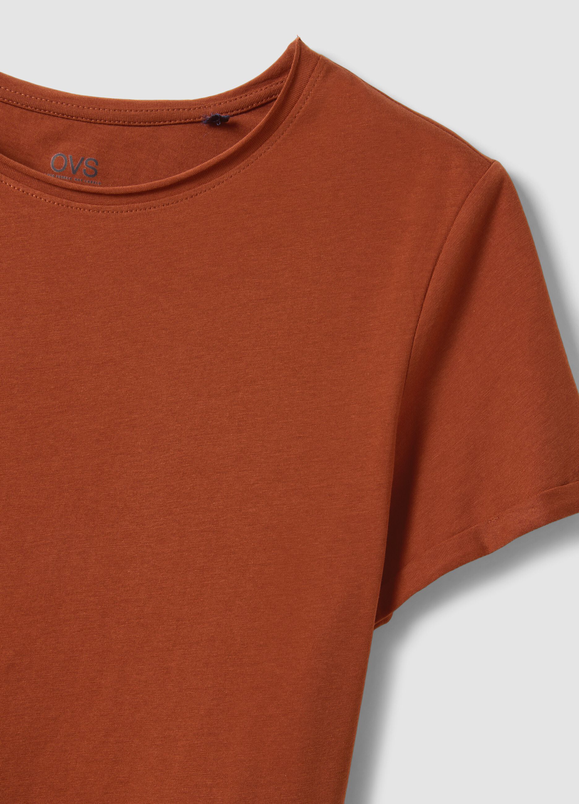Brown short sleeve pure cotton regular fit T-shirt