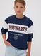 T-shirt blu in puro cotone con girocollo e stampa Harry Potter per ragazzo_0