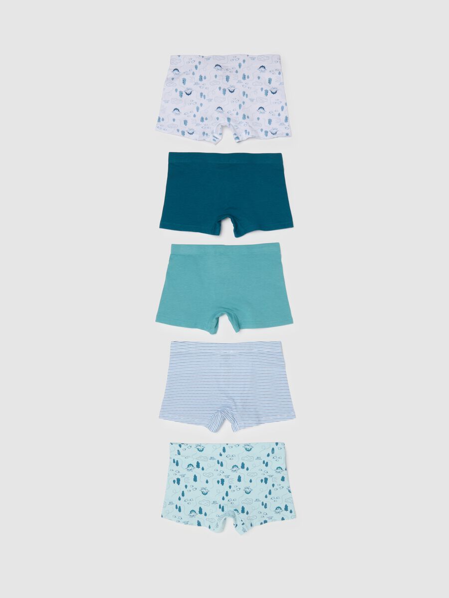 Multipack of five multicoloured stretch cotton boxers_1