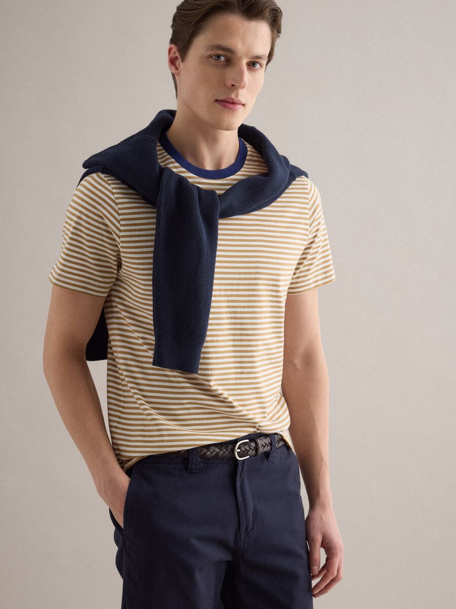 Multicolour striped pure cotton t-shirt regular fit_1