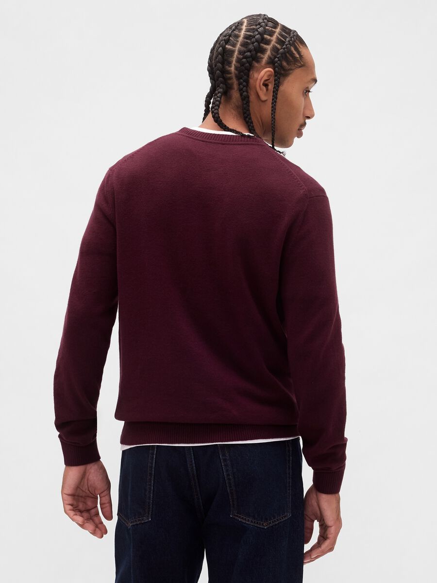 Purple Cotton Blend Sweater_1