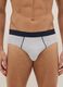 Multipack multicolour regular fit elasticated cotton briefs_1