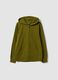 Green organic cotton hooded sweatshirt, regular fit, for boys_0