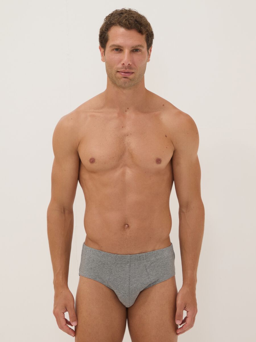 Grey organic cotton briefs_0