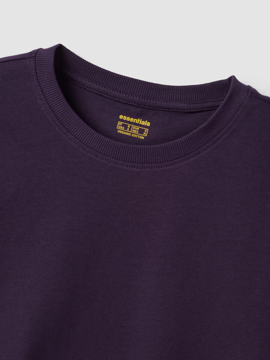 Purple pure organic cotton crew-neck T-shirt, regular fit_1