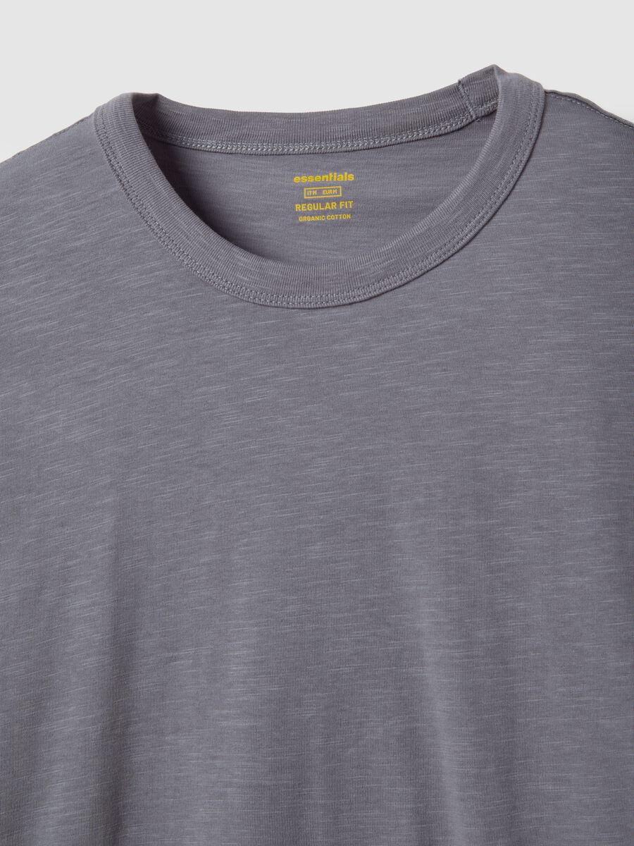 Grey pure cotton short sleeve T-shirt regular fit_5