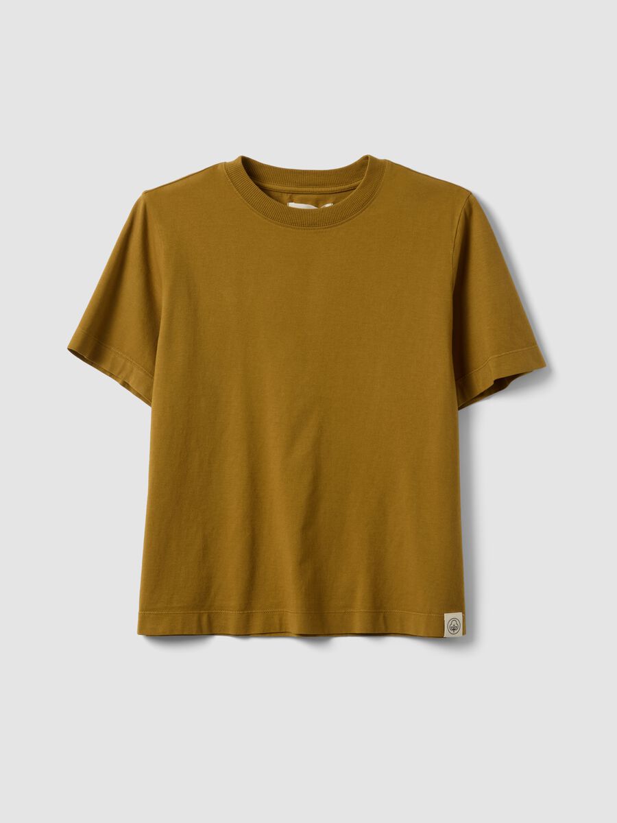 Brown short-sleeve pure cotton T-shirt, regular fit_4